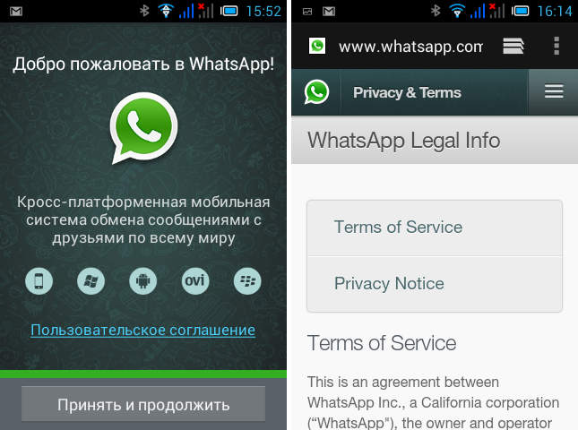  Whatsapp   -  3