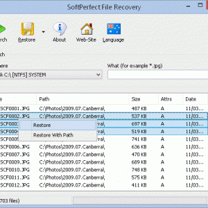 Soft Perfectfile Recovery